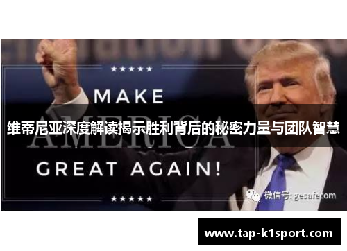 维蒂尼亚深度解读揭示胜利背后的秘密力量与团队智慧